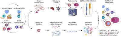 RNA-Seq of Single Fish Cells – Seeking Out the Leukocytes Mediating Immunity in Teleost Fishes